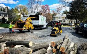 Best Sod Installation  in Franklin Center, NJ